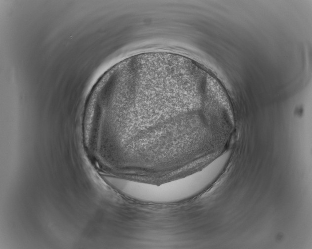 X0000094071530200711161536