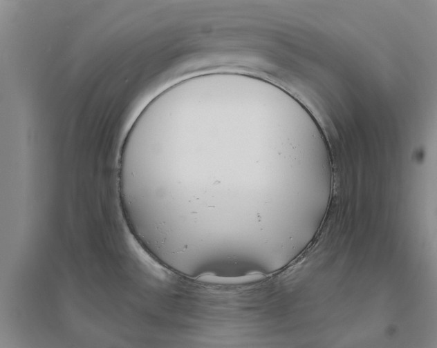 X0000094071532200711161536