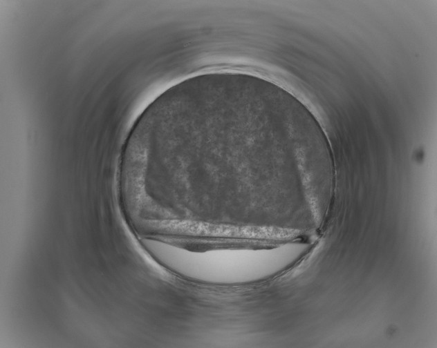 X0000094071533200711161536