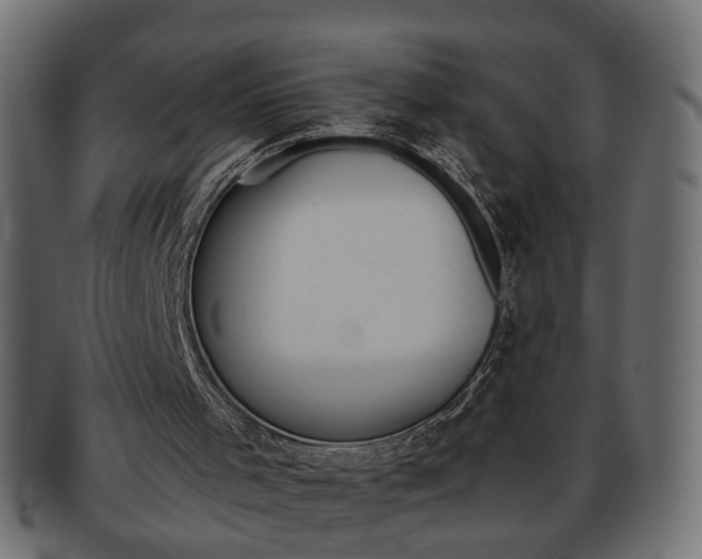 X0000094080001200710190928