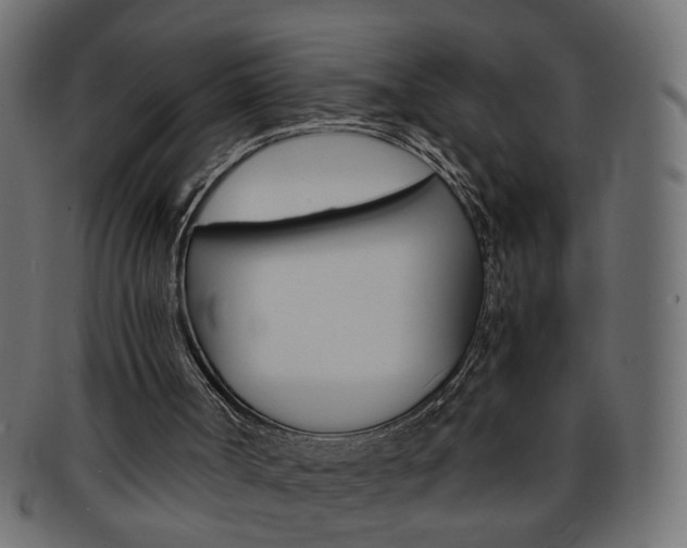 X0000094080002200710190928