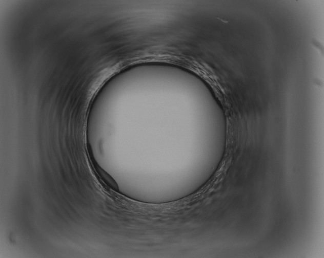 X0000094080003200710190928