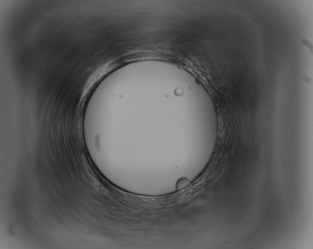 X0000094080004200710190928