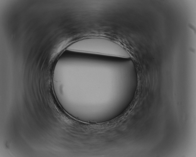 X0000094080005200710190928