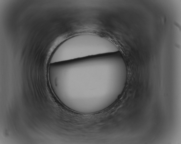 X0000094080006200710190928