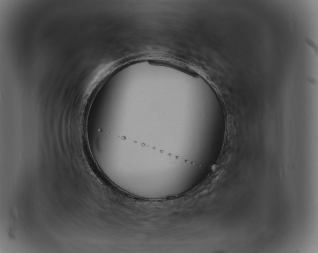 X0000094080007200710190928