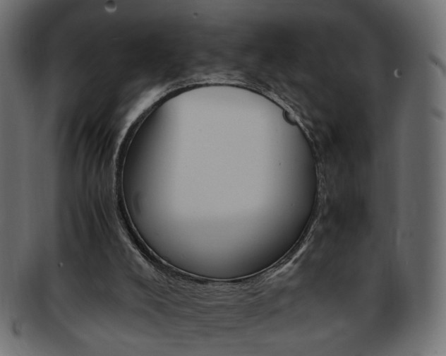 X0000094080008200710190928