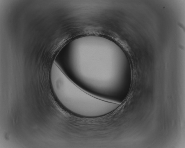 X0000094080009200710190928