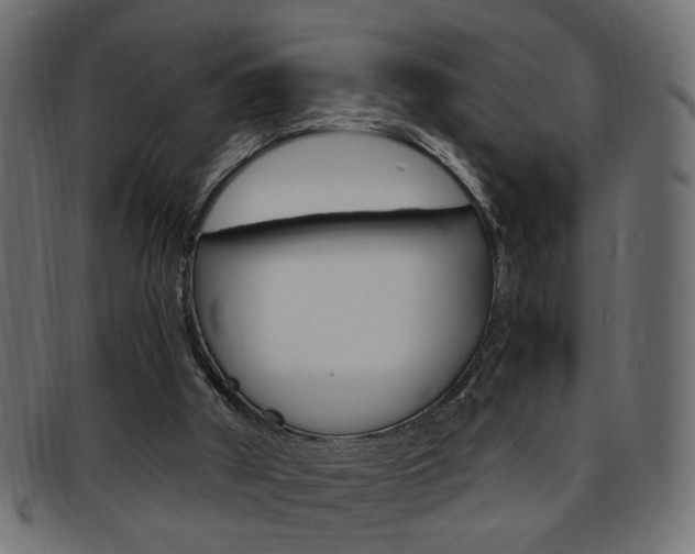 X0000094080010200710190928