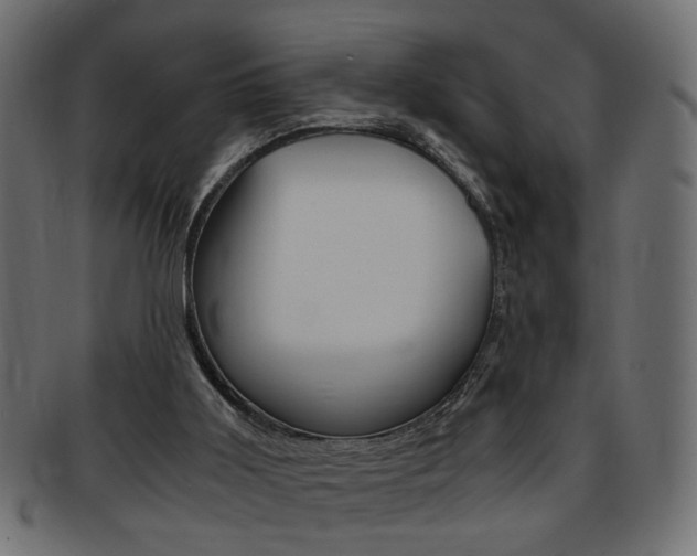 X0000094080011200710190928