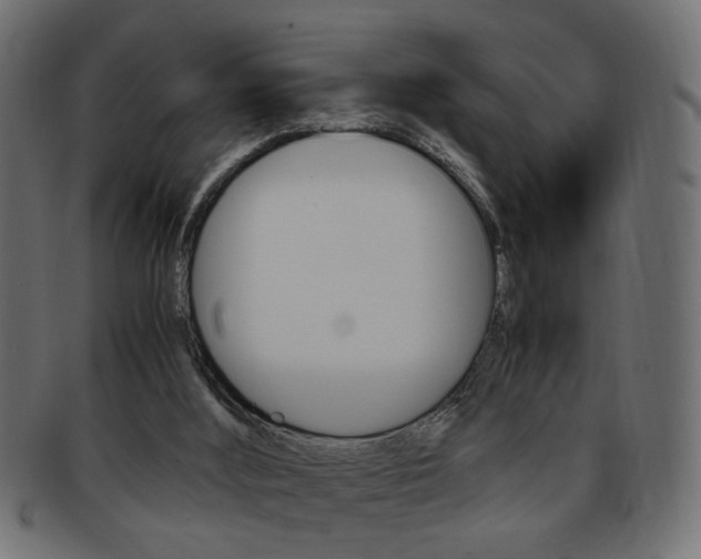 X0000094080012200710190928