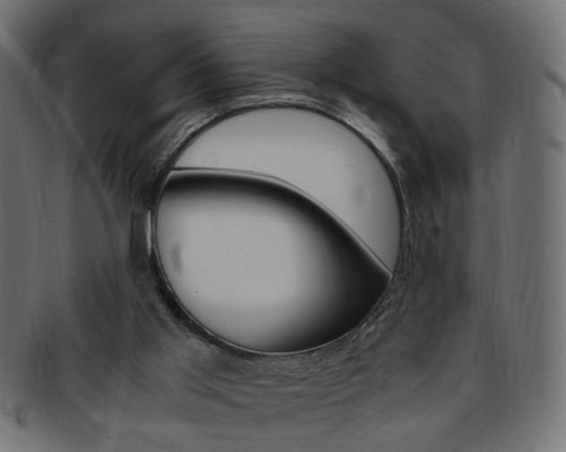 X0000094080013200710190928