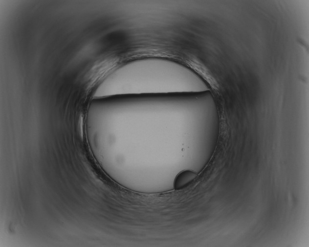 X0000094080014200710190928