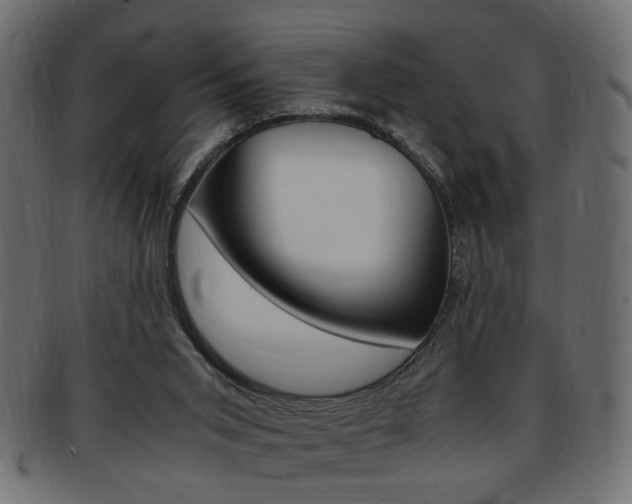 X0000094080015200710190928