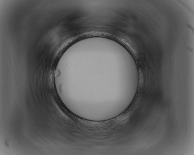 X0000094080016200710190928