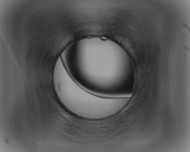 X0000094080017200710190928