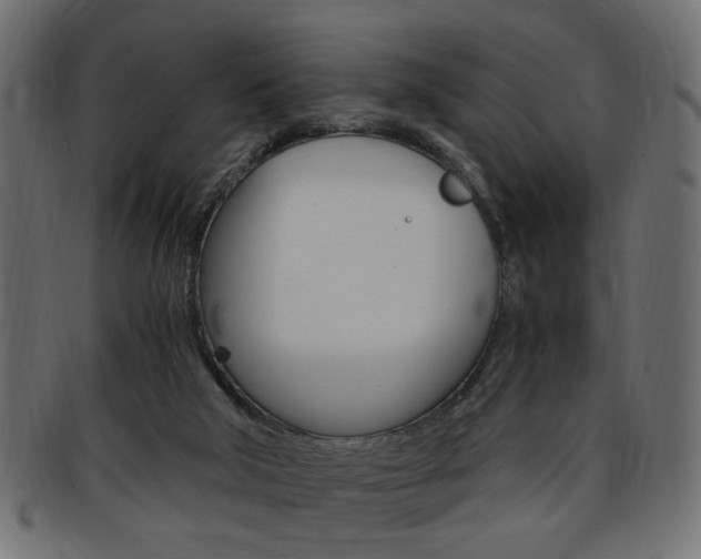 X0000094080018200710190928