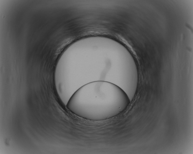 X0000094080019200710190928