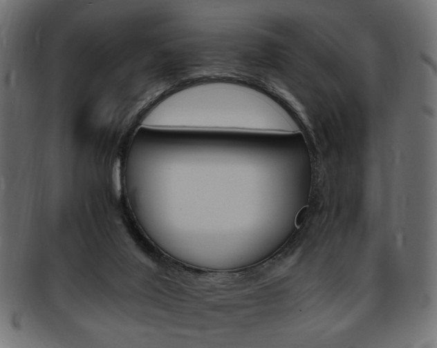 X0000094080020200710190928