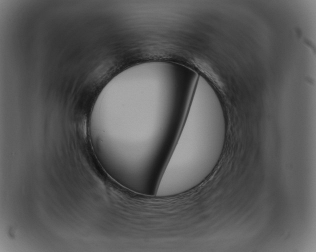 X0000094080021200710190928