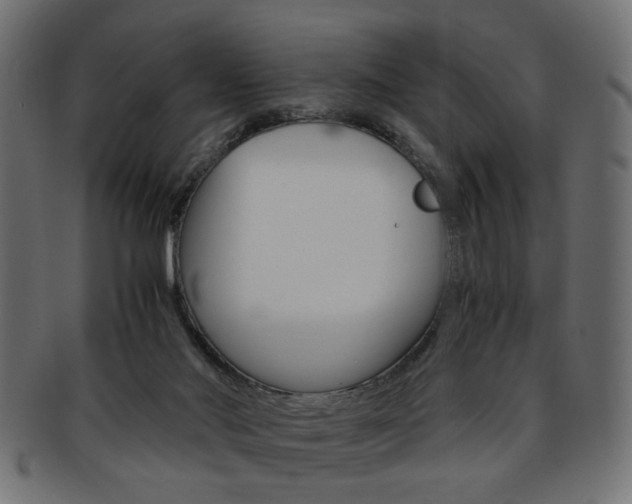 X0000094080022200710190928