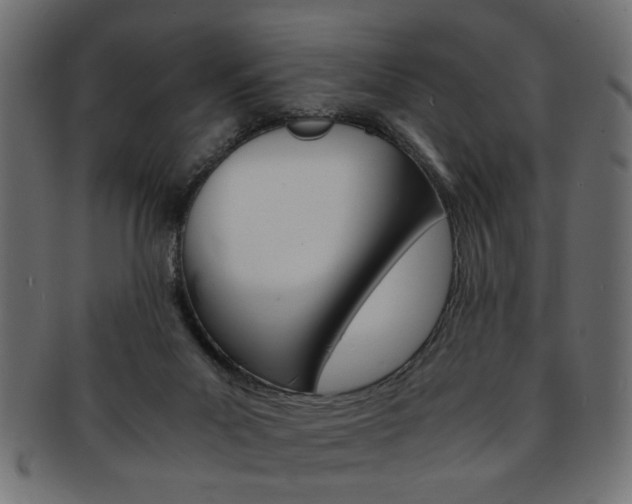 X0000094080023200710190928