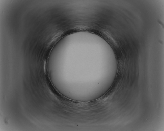 X0000094080024200710190928