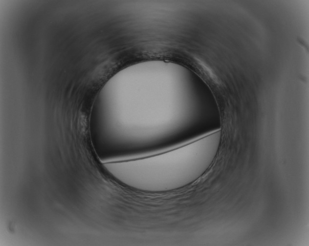 X0000094080025200710190928