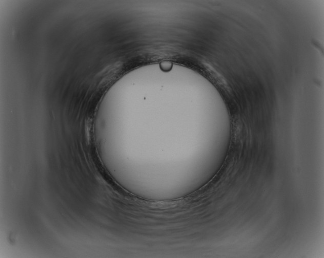 X0000094080026200710190928