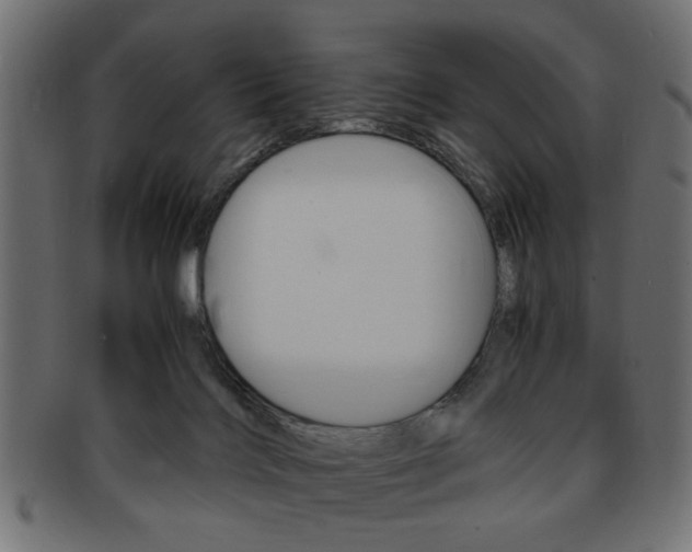 X0000094080028200710190928