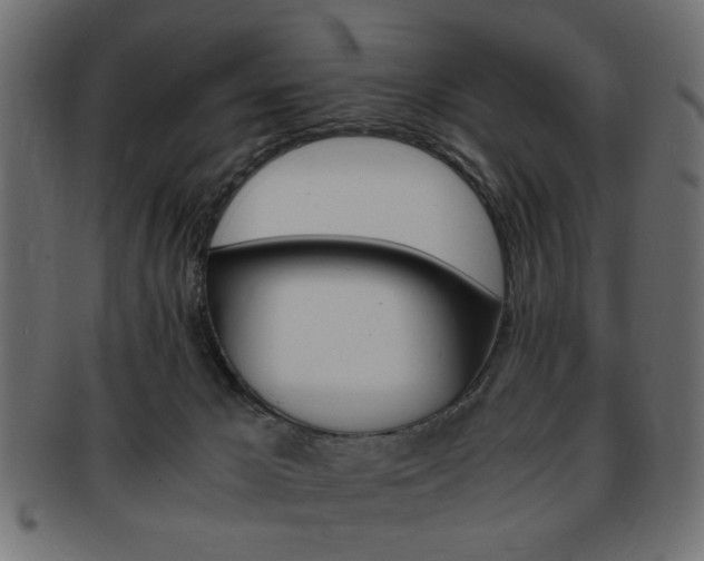 X0000094080029200710190928