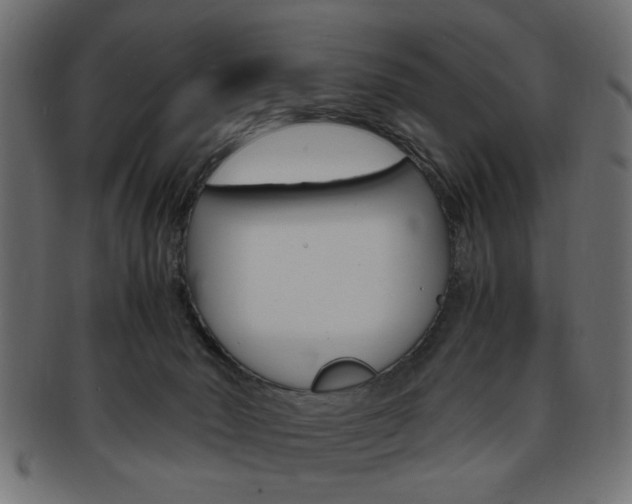 X0000094080030200710190928