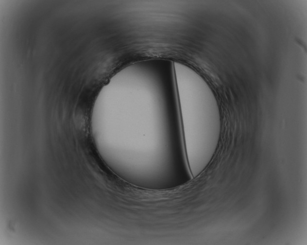 X0000094080031200710190928