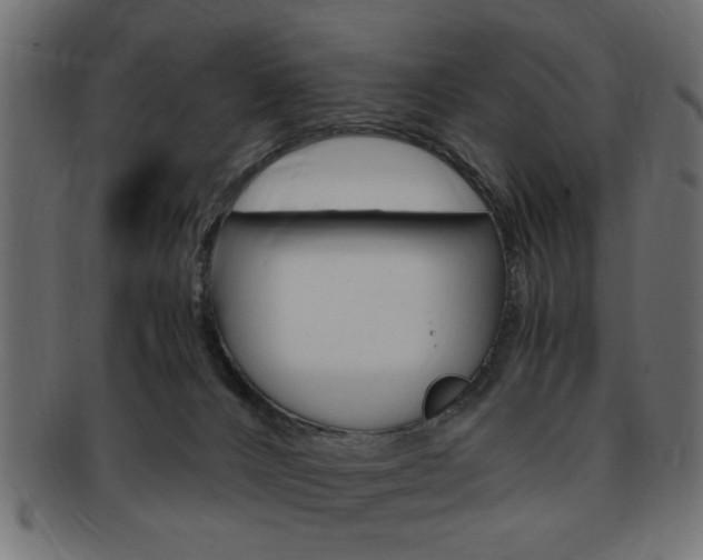 X0000094080032200710190928