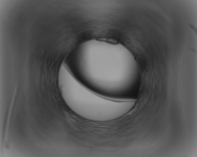 X0000094080033200710190928