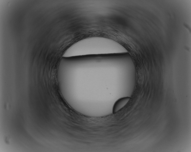 X0000094080034200710190928