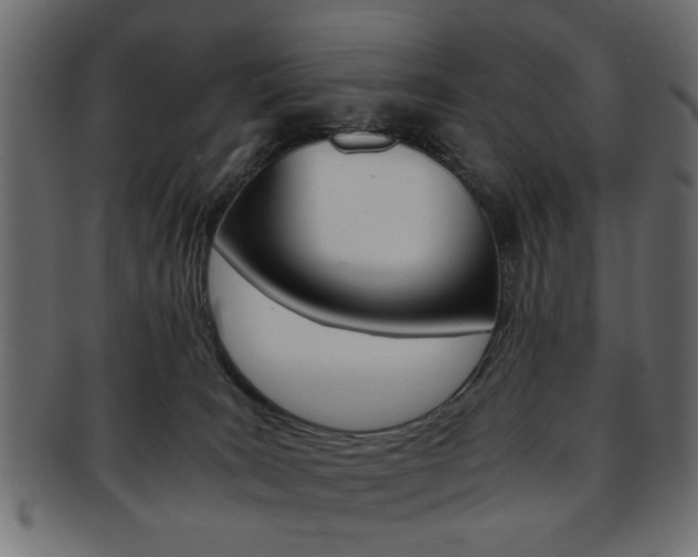 X0000094080035200710190928