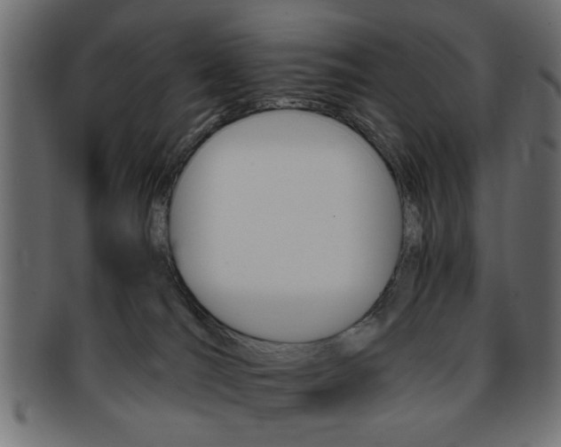 X0000094080036200710190928