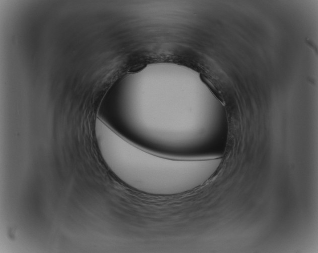 X0000094080037200710190928