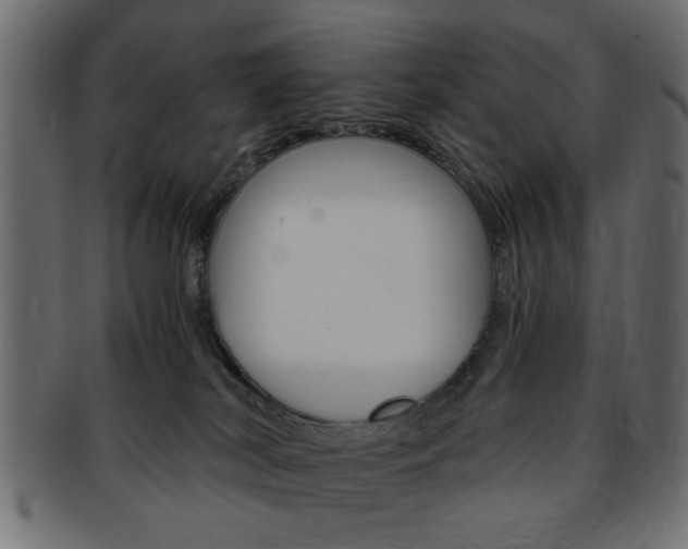 X0000094080038200710190928