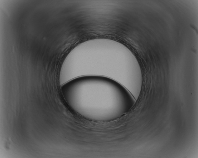 X0000094080039200710190928