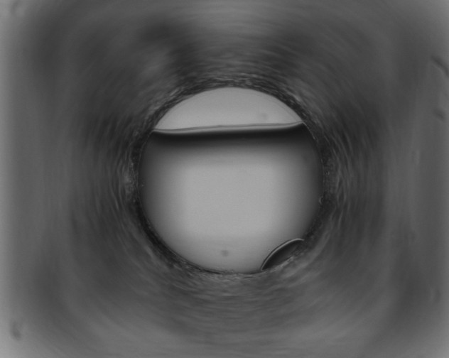 X0000094080040200710190928