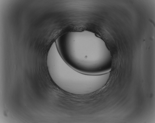 X0000094080041200710190928