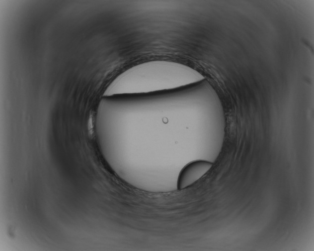 X0000094080042200710190928