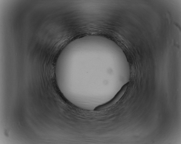 X0000094080043200710190928