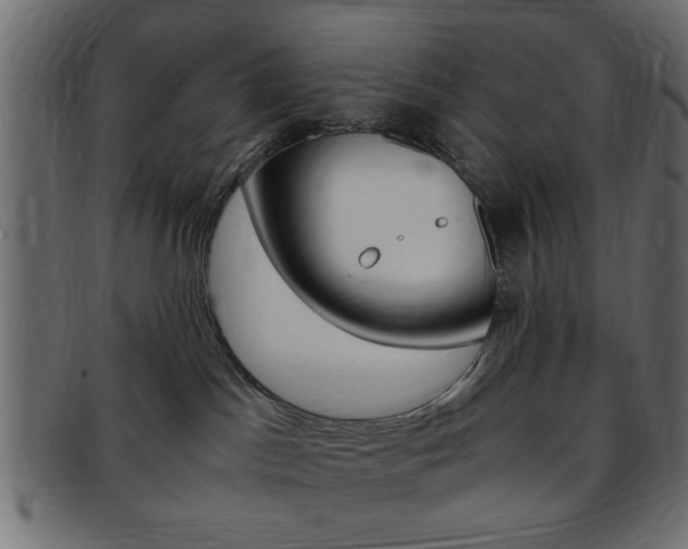 X0000094080045200710190927