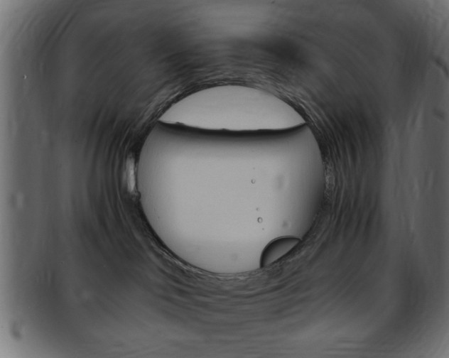 X0000094080046200710190927