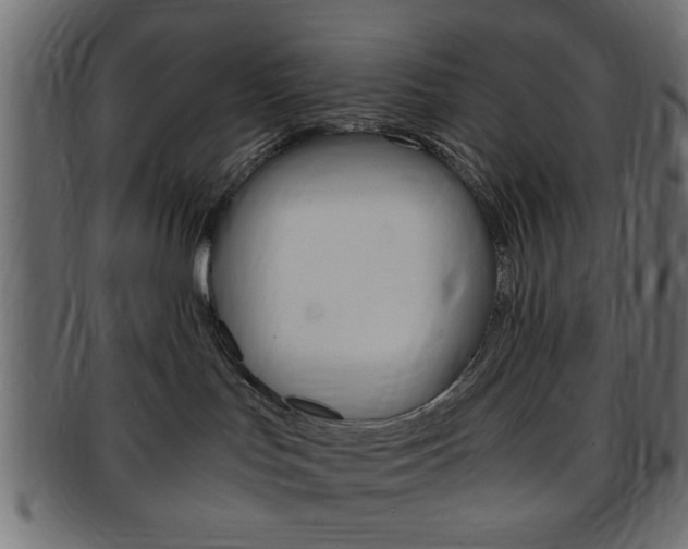 X0000094080047200710190927