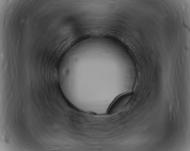 X0000094080048200710190927