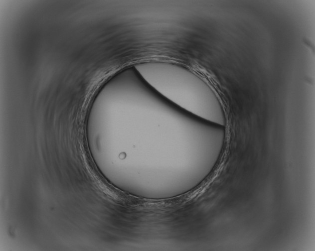 X0000094080049200710190927